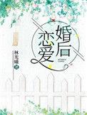婚后恋爱 作者林光曦