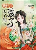 我怀了太子的孩子 沈青鲤