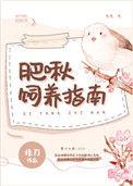 肥啾在哪买