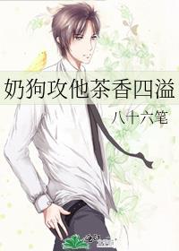 奶狗攻文推荐