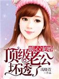 暖心宠婚顶级老公坏透了车车