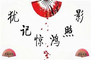 犹记惊鸿照影完整版txt