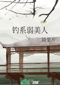 钓系弱美人车镜像怎么获得