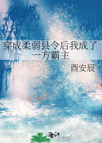 穿成柔弱县令后我成了一方霸主免费阅读