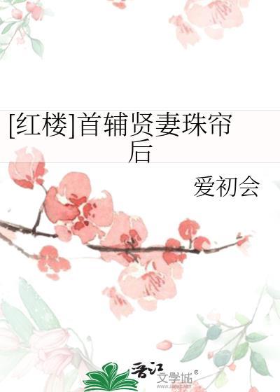 首辅的继室夫人