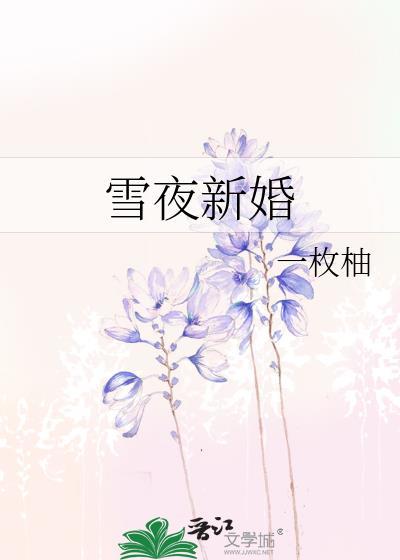 雪夜新婚by一枚柚全文免费阅读
