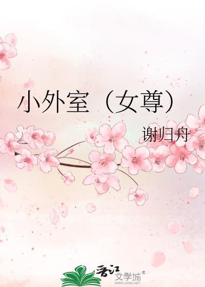 外室小妾类