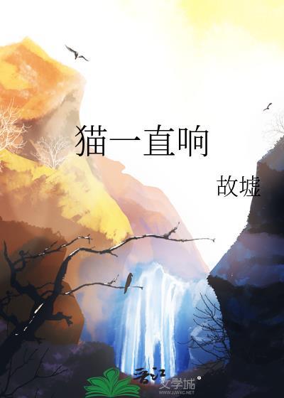 猫一直响是什么梗