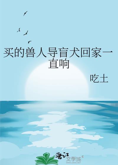 当导盲犬的狗