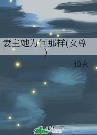 妻主她为何那样(女尊)txt