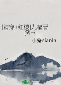 清穿之九福晋是林黛玉