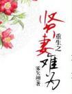 重生之贤妻难为未删减版