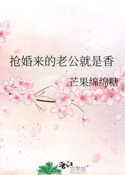 抢来的老公全文阅读