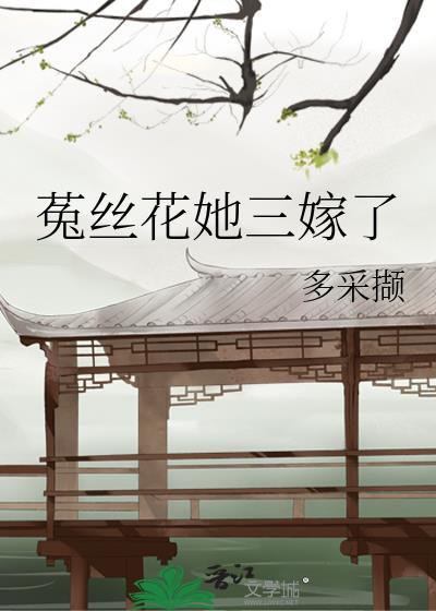 菟丝花她三嫁了多采撷