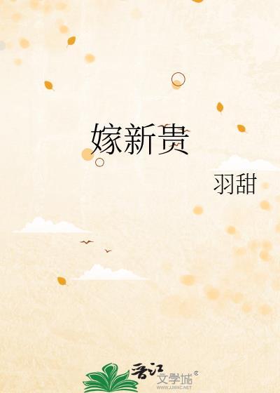嫁新贵txt