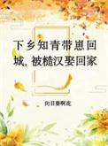 知青下乡宠文