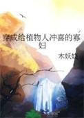 穿成给植物人冲喜的寡妇木妖娆22章