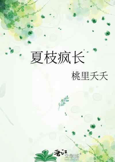 宋厌