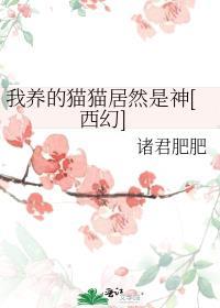 我养的猫变成了人漫画