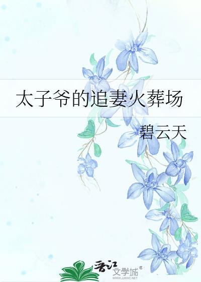 太子爷的追妻火葬场by碧云天