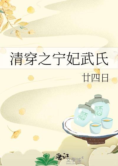 清穿之宁妃武氏百度