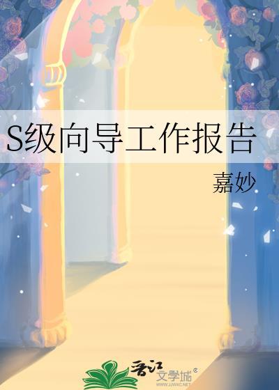 s级向导工作报告沈希真
