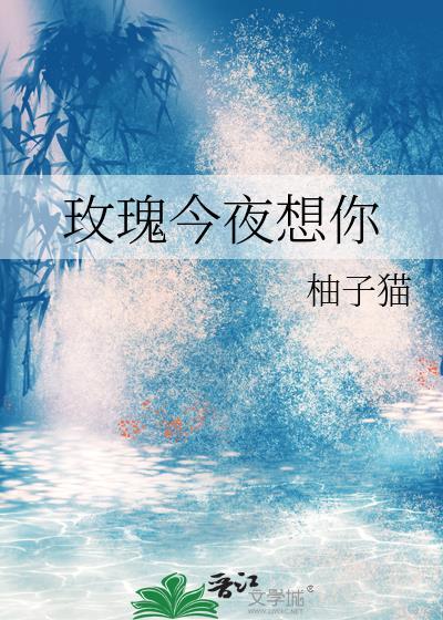 今夜的玫瑰是什么歌里的歌词