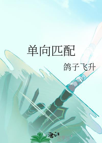 单向匹配鸽子飞升TXT百度