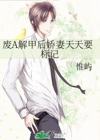 废A解甲后娇妻天天要标记免费阅读txt