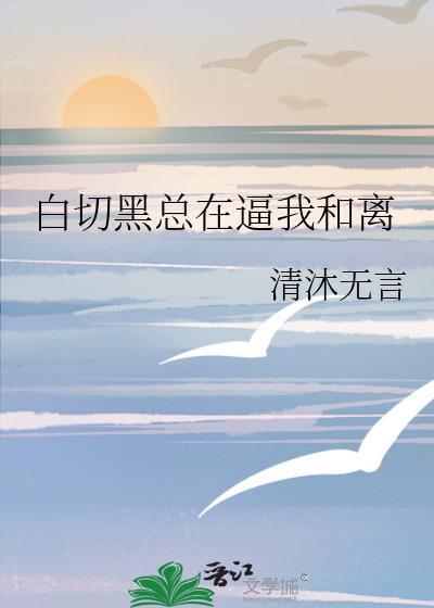 黑切白与白切黑txt