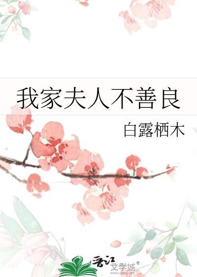 我家夫人不善良笔趣阁