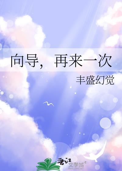 再来一次(丰盛幻觉)_向导