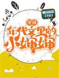 穿成年代文里的小婶婶大结局