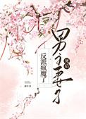 男主老婆是反派的