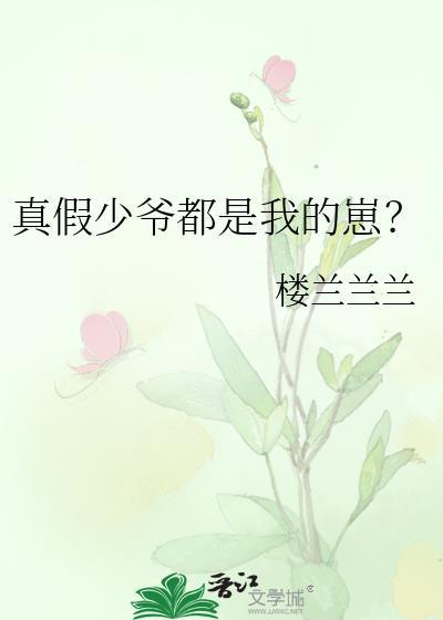 真假少爷文推荐
