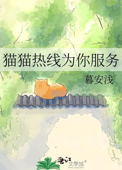 猫猫热线为你服务格格