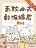 乖软小夫郎换嫁后by霁青