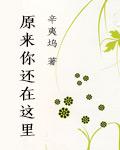 致青春原来你还在这里完2