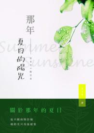 那年夏天的微光完整版
