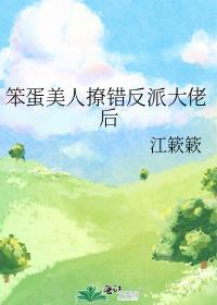 笨蛋美人的错误攻略!