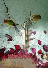 金枝 golden bough