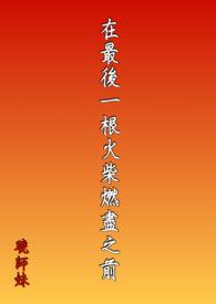 最后一根火柴心情变化