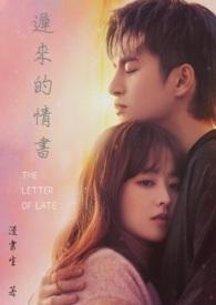 迟来的情书番外免费阅读