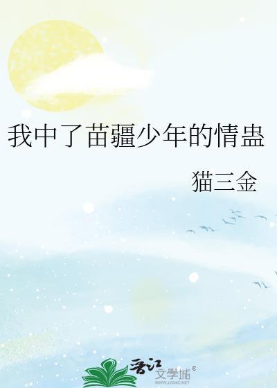 苗疆少年什么意思