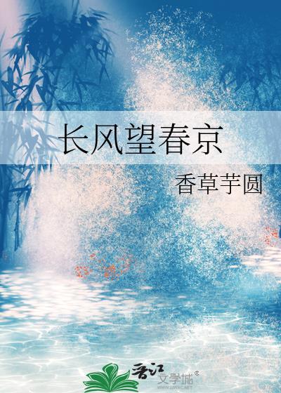 长风望春京全本TXT