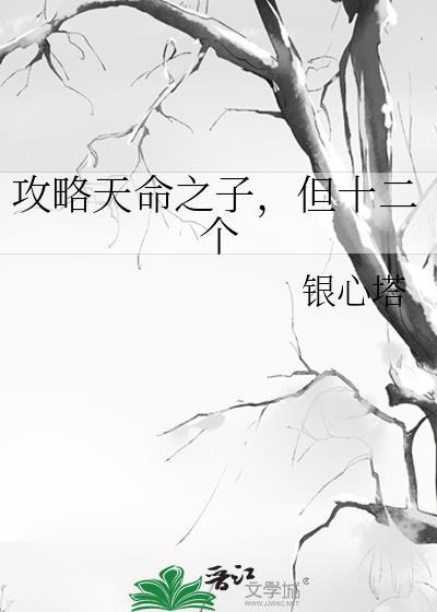 攻略天命之子但十二个银心塔TXT