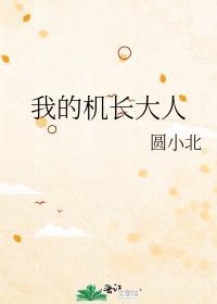 我的机长大人第二季免费