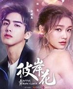 彼岸花文案