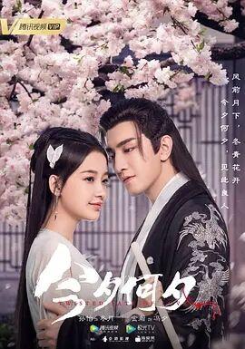 今夕何夕电视剧