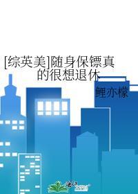 随身保镖的意思